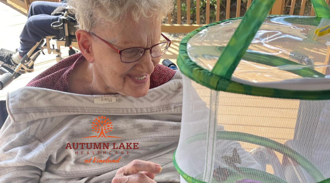 Assisted Living Vineland NJ